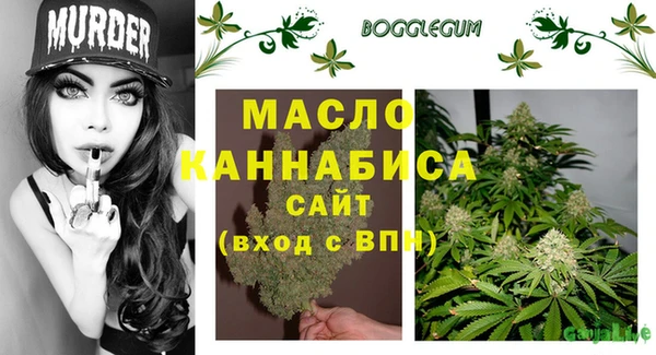 mix Богородицк