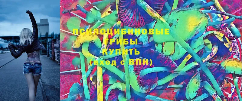 Галлюциногенные грибы Psilocybe  наркошоп  Зверево 